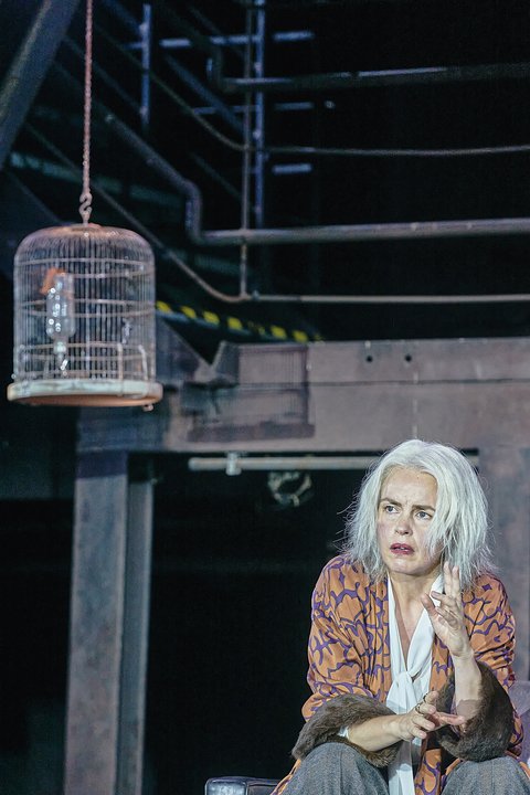 Aufzeichnungen aus dem Kellerloch, Barbara Frey, Nina Hoss