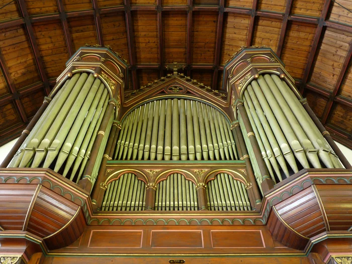 Close up of the Sauer organ, with its numerous metal pipes and intricate wooden decorations, stands on the gallery beneath the vaulted church ceiling.