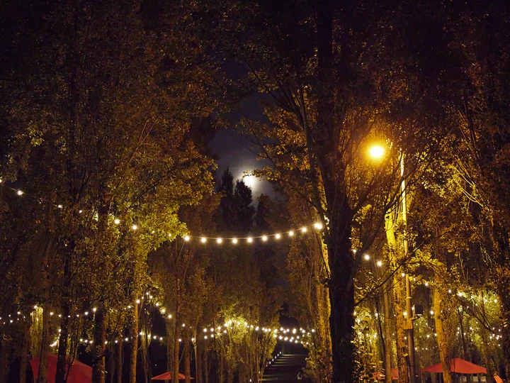 Illuminated tree alley at night with string lights and a full moon in the background.