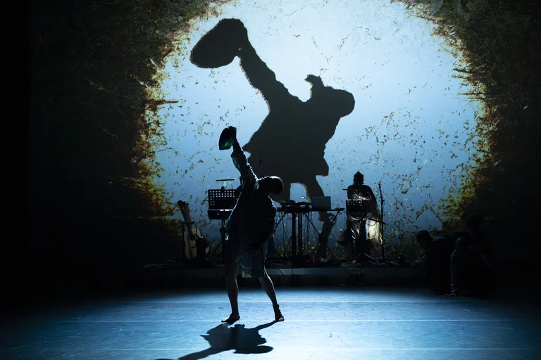 A performer dances alone on stage, with a large shadow projection behind them and musicians seated in the background.