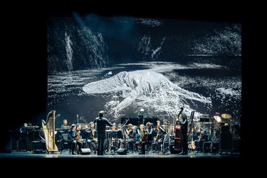 Das Orchester Les Apaches ! spielt auf einer Bühne vor einer digitalen Projektion eines weißen Echsenwesens auf schwarzem Hintergrund.