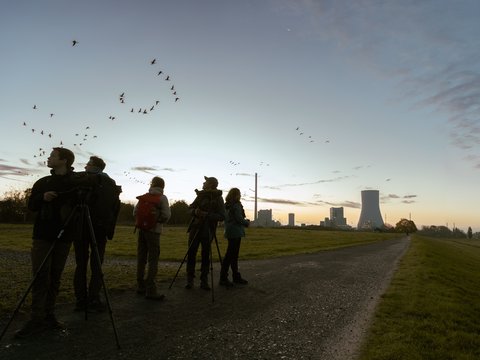 Campaign Visuals Ruhrtriennale 2023