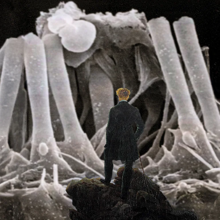 Caspar David Friedrichs Wanderer über dem Nebelmeer, im Hintegrund die Abbildung von Härchen im Inneren eines Ohres.