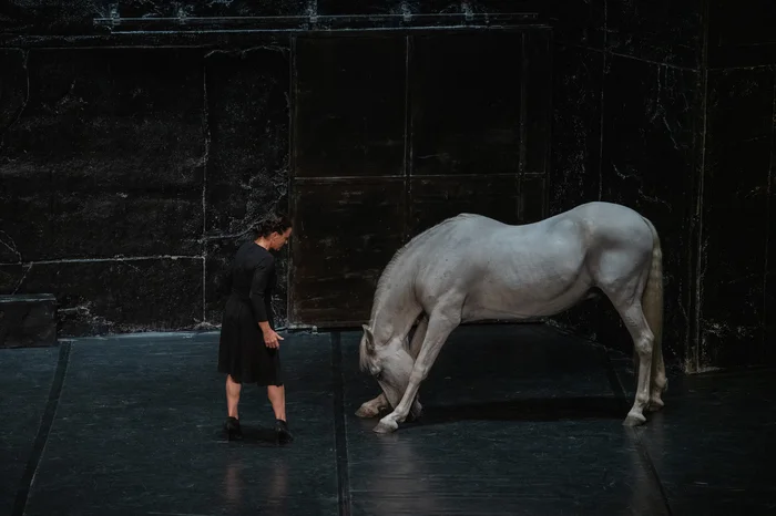 A woman in a black dress stands on a dark stage facing a white horse that bows deeply.