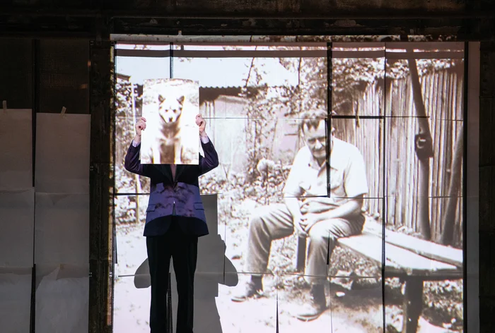 A performer stands in front of a projection showing a black-and-white photograph of a man sitting on a bench in a garden. The performer holds up an image of a dog in front of their face, visually aligning with the projection in the background.